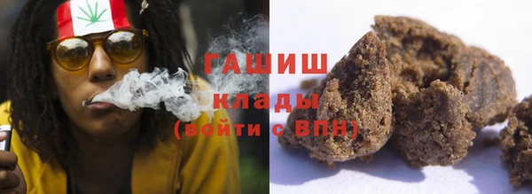 прущие грибы Переславль-Залесский