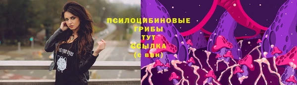 дмт Алексеевка