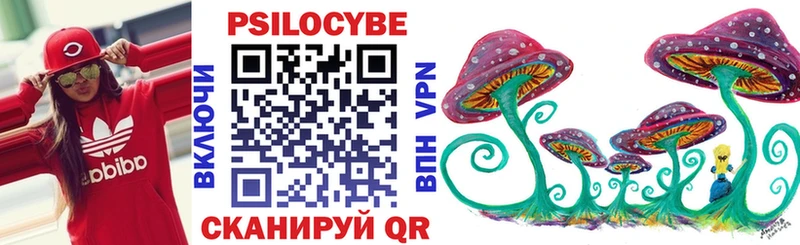 купить   Кимовск  Псилоцибиновые грибы Psilocybe 