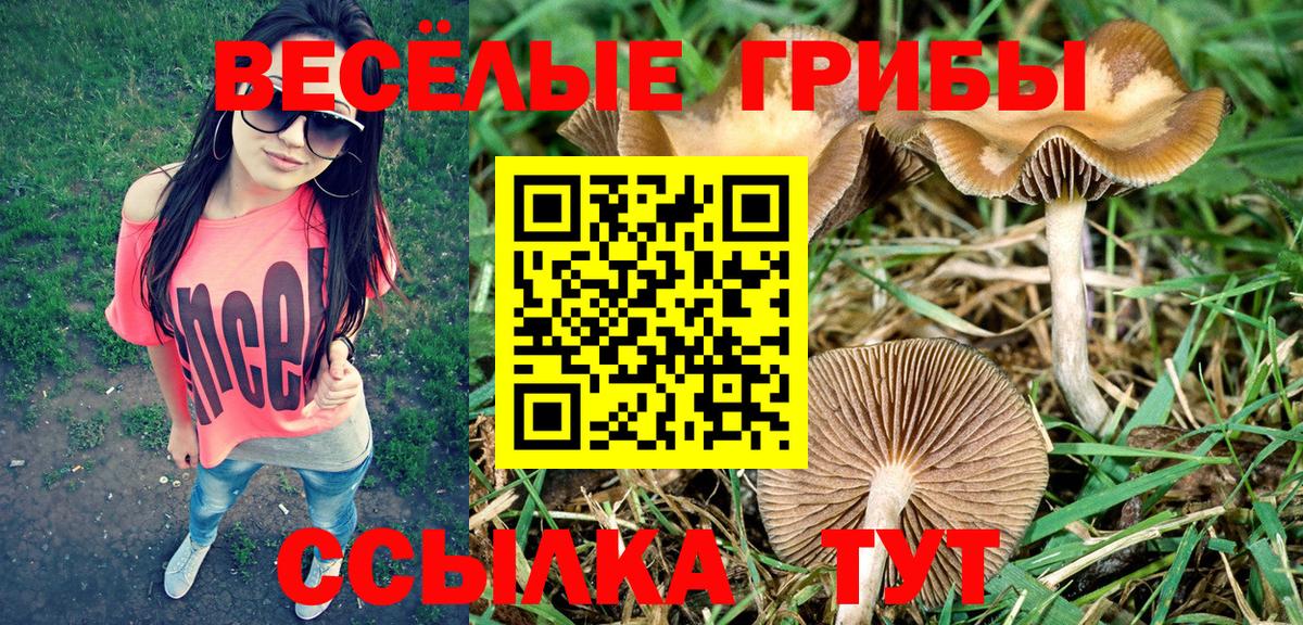 Кимовск  где найти   Вход с VPN  Псилоцибиновые грибы мухоморы  Галлюциногенные грибы Magic Shrooms 